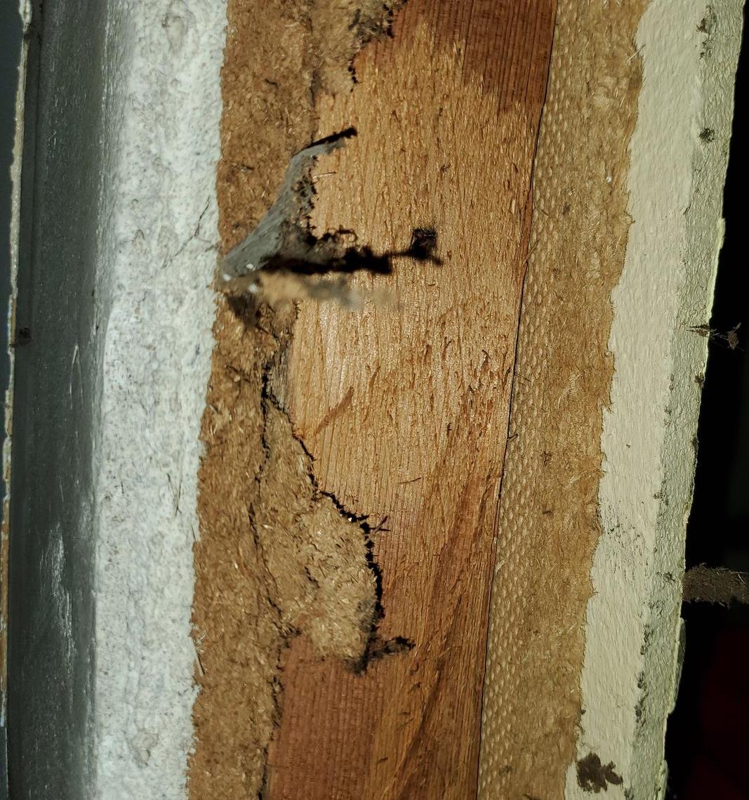 Asbestos Content in Fiberboard Building Sheathing & Insulating Board