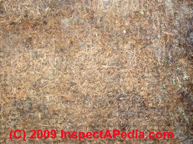 Framing & Sheathing Materials A Photo Guide to Types & Age of Framing