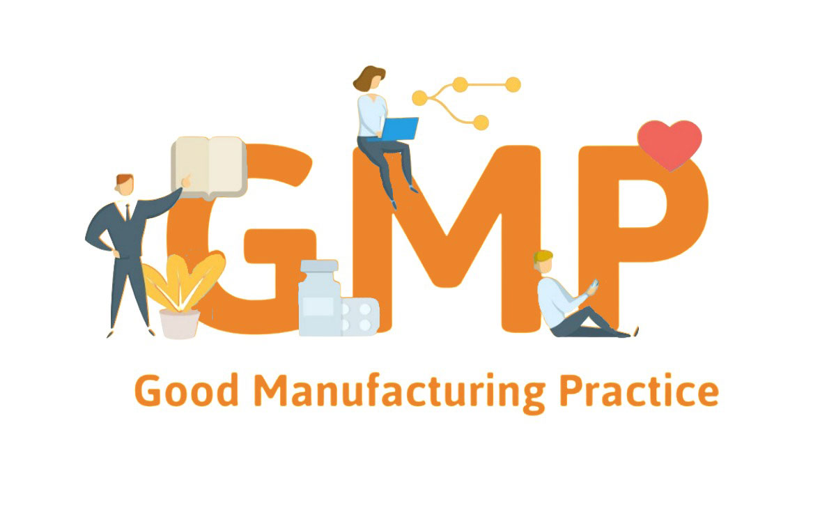 What is GMP and How to Get It?