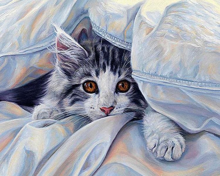 Diamond painting kit A cat under blanket Embroidery Mosaic Cross