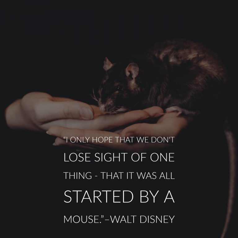 33 Inspiring Walt Disney Quotes Inspirationfeed