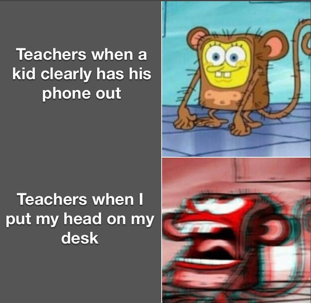 50 Funny School Memes Every Student Can Relate To Inspirationfeed