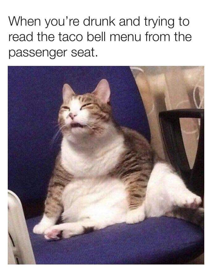 34 Funny Taco Bell Memes You Know All. Too. Well. Inspirationfeed