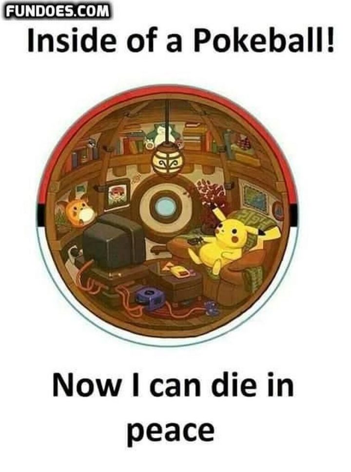 71 Funny Pokemon Memes Inspirationfeed