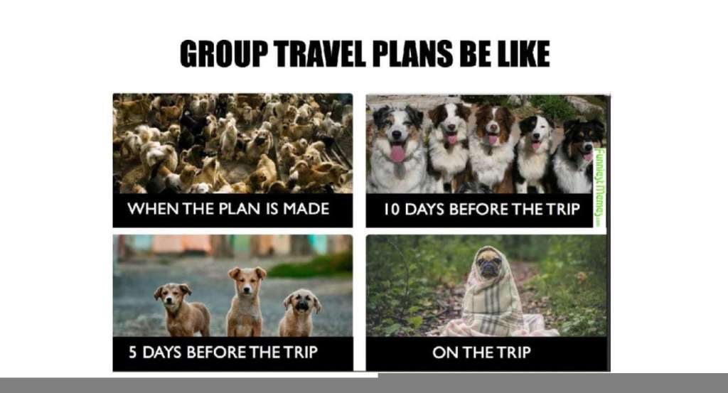 35 Funny Travel Memes You Will Easily Relate To Inspirationfeed