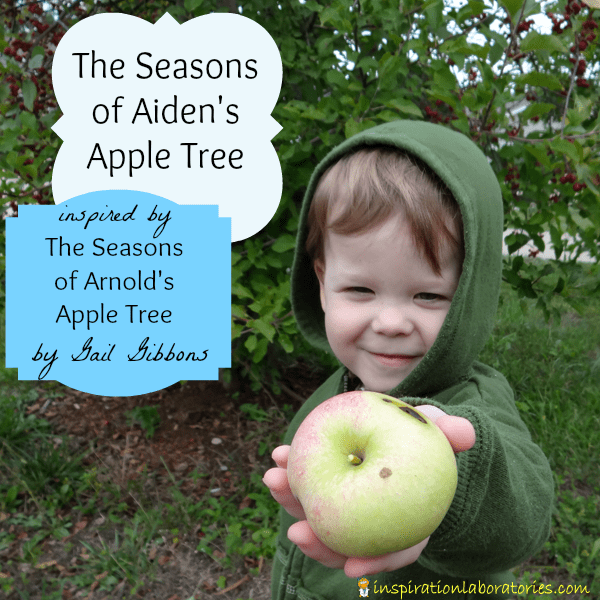 The Seasons of Arnold's Apple Tree by Gail Gibbons Inspiration