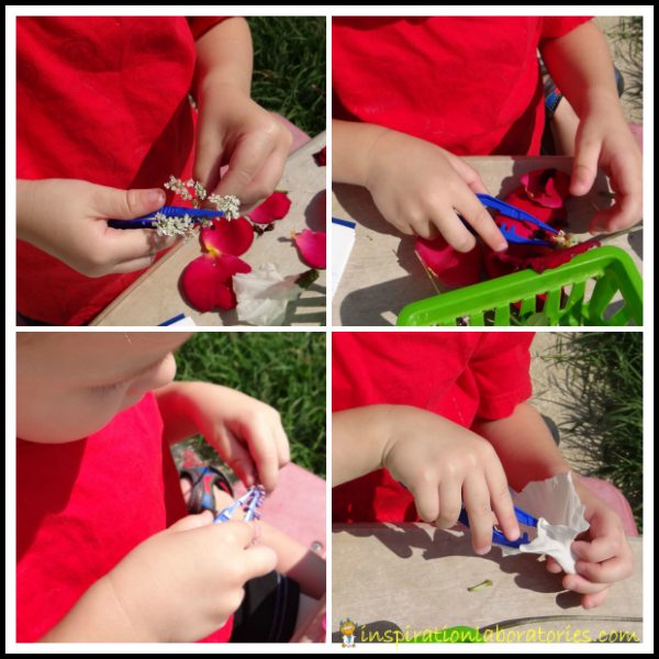 Ready for Kindergarten Children are Natural Scientists Inspiration