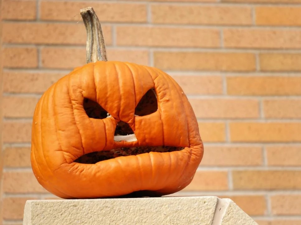 75 Pumpkin Carving Ideas For Halloween