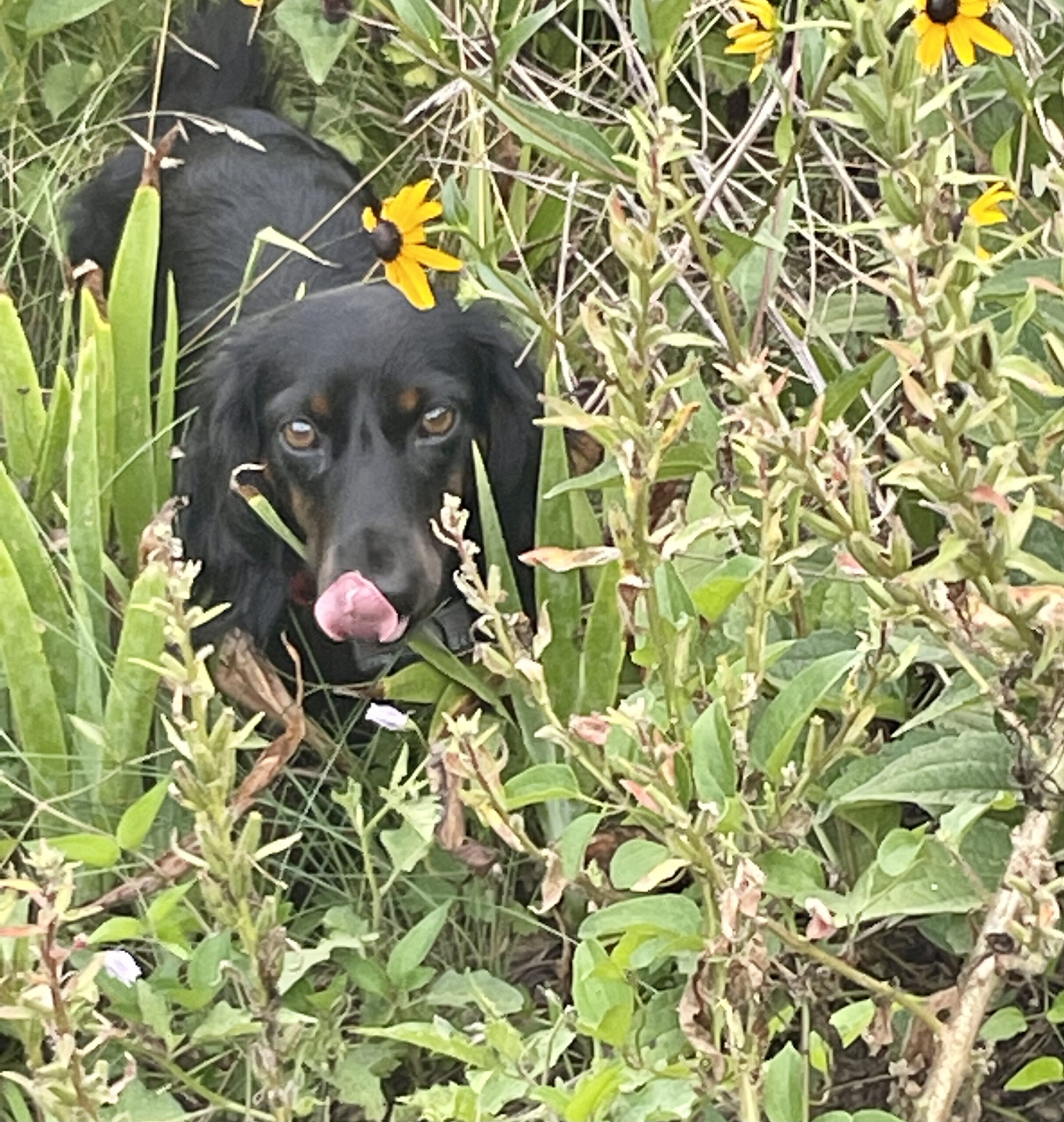 Wanderlust Inspire A Fire