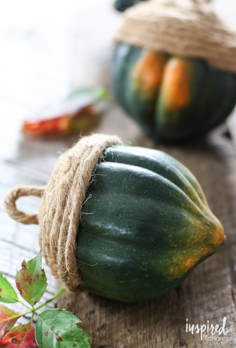 DIY Acorn Acorn Squash