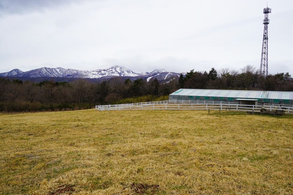 The Best Things To Do In Nasu Japan's Intriguing Royal Resort Town