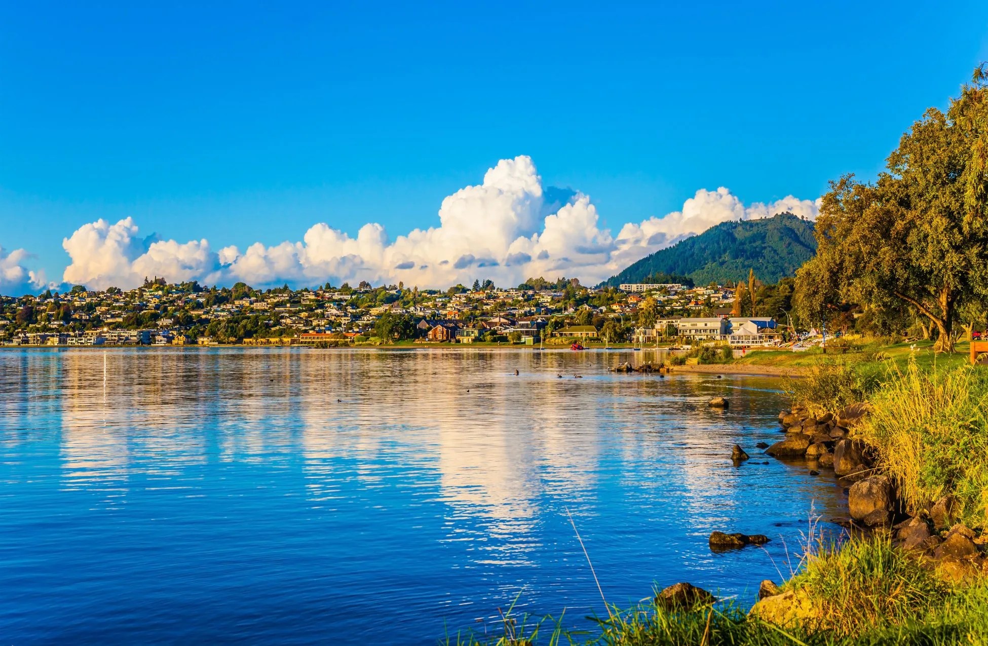 The 11 Best Hotels In Taupo New Zealand Top Spots For An Stay! Inspired By Maps