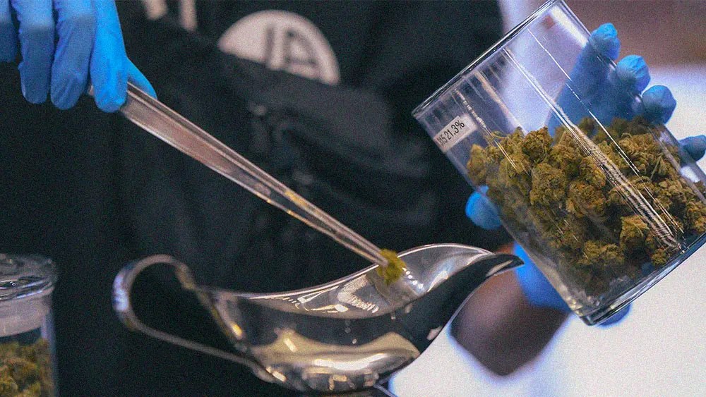 Careers Inspired Cannabis