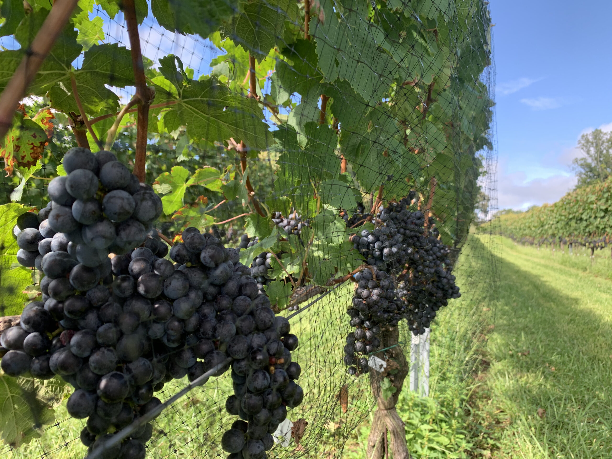 Inspired Getaway Vacation Rentals Asheville NC