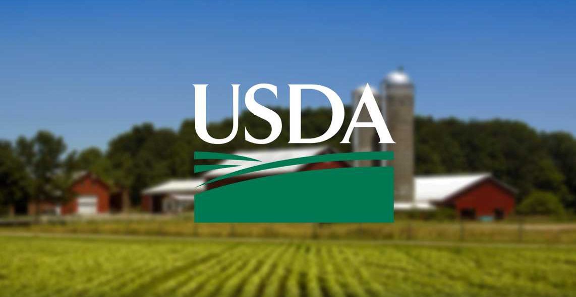 USDA Rural Development Internship Opportunities OM&IS Gazette
