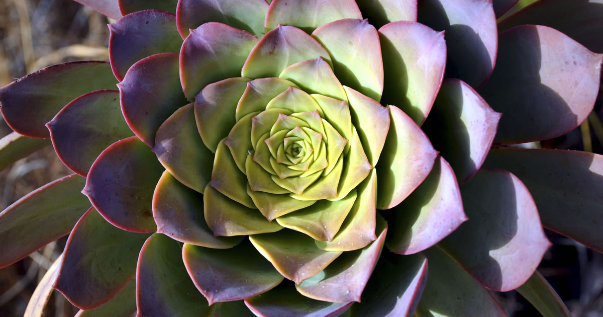 Abrasive Leader Turnaround Inspired Mastery