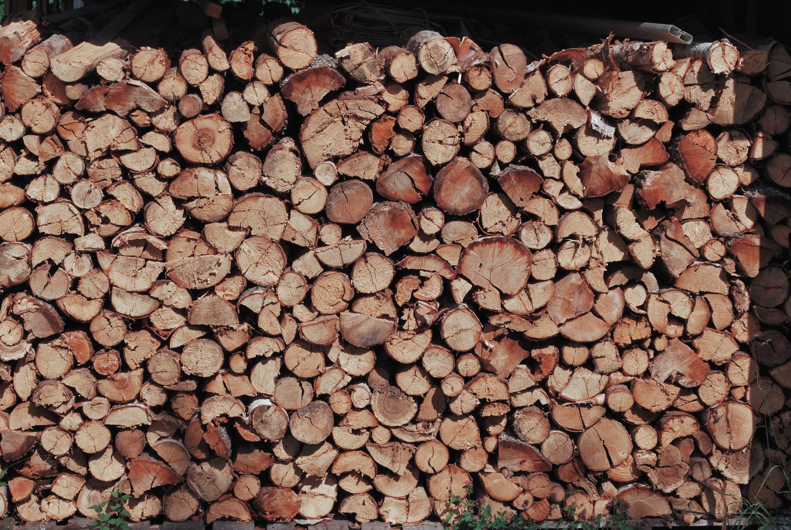 The Best Woods for Grilling Your Foods Inspire Tips To Grow Your