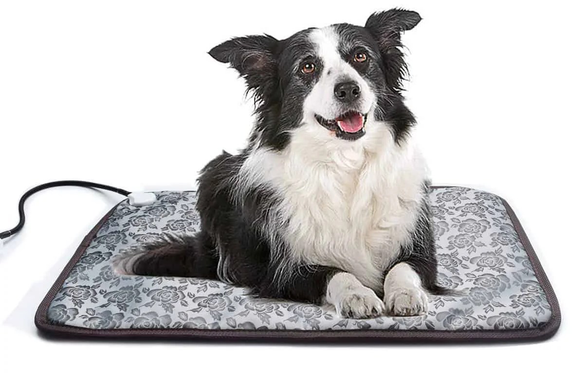 Dog Beds The ultimate buyer’s guide Inspire Dogs