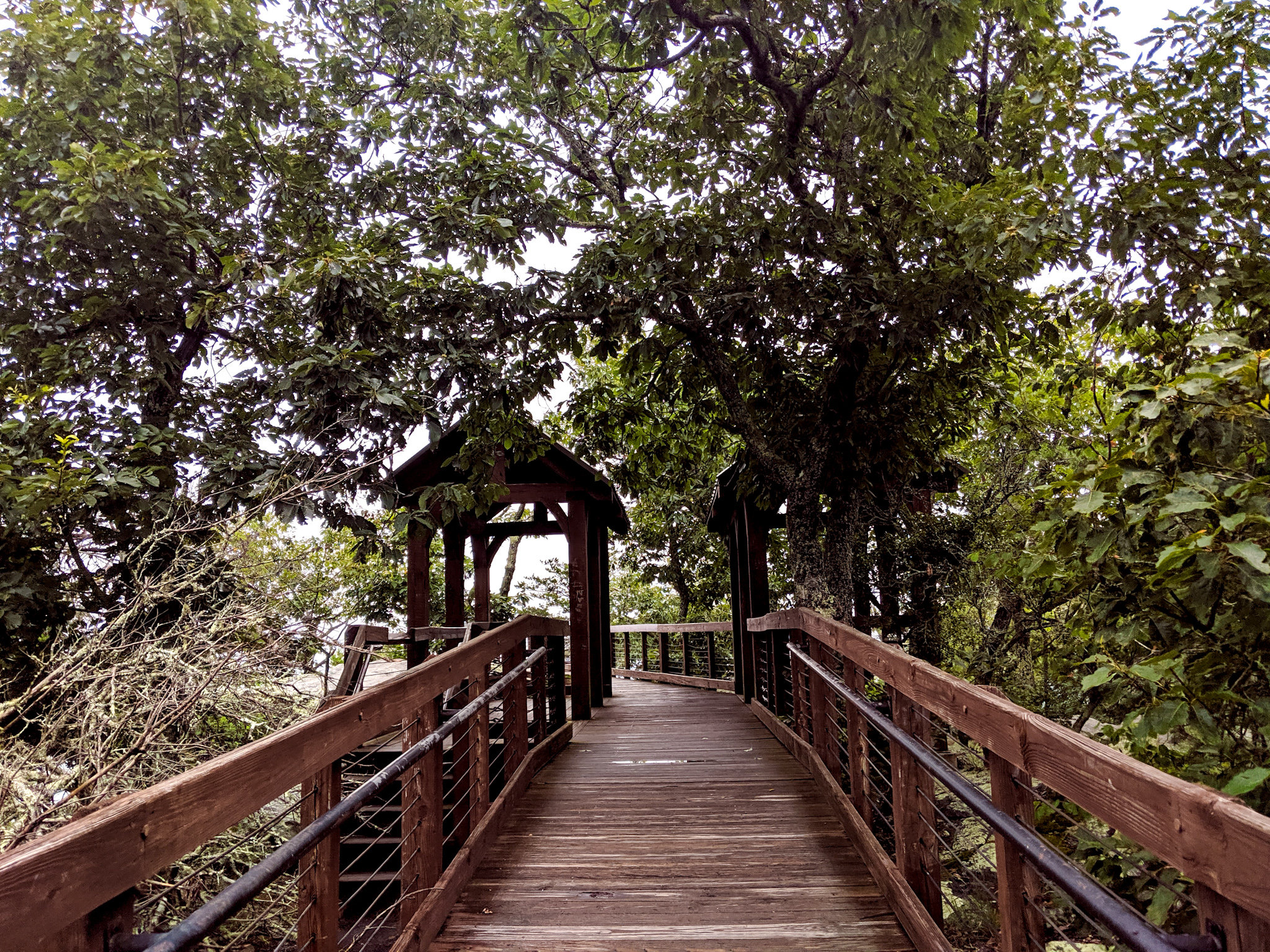 Cheaha State Park is a fun day trip for the whole family