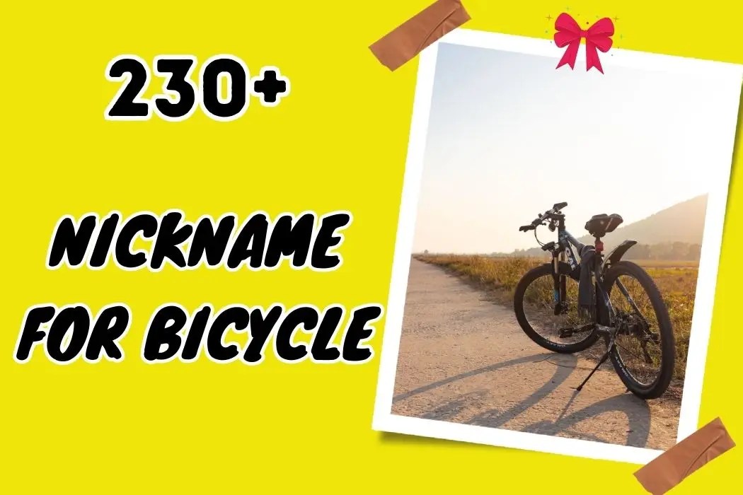Nickname for Bicycle Personalize Your Ride with Style