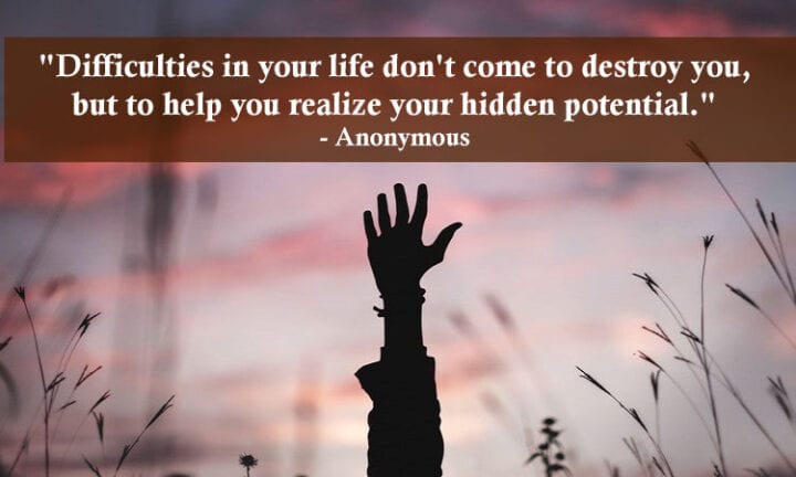 What Is The Meaning Of Life Quote Know It Info