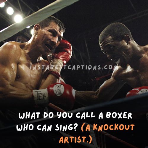 175 Best Boxing Puns, Captions And Jokes