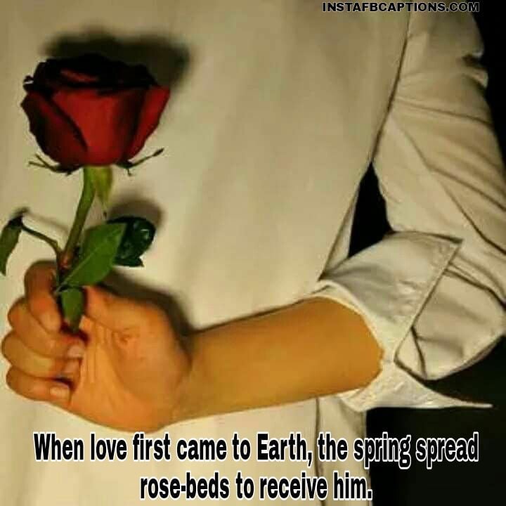 [New] ROSE DAY Captions Quotes for Instagram in 2023