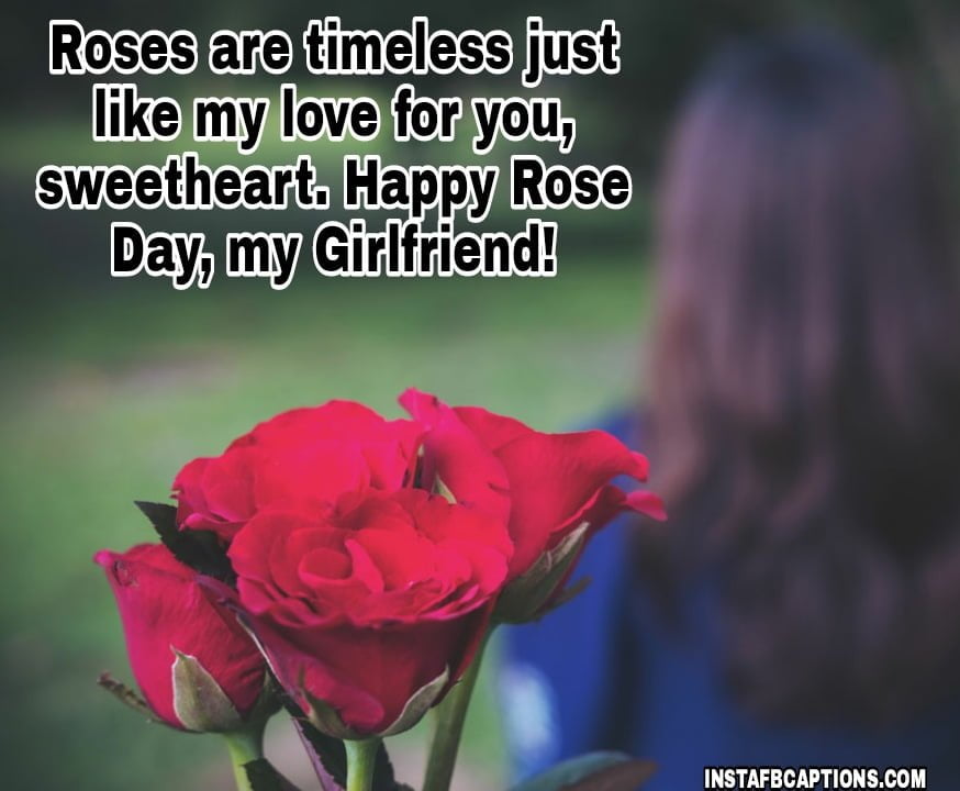 [New] ROSE DAY Captions Quotes for Instagram in 2023