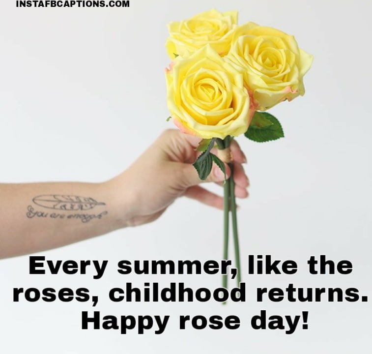 [New] ROSE DAY Captions Quotes for Instagram in 2023