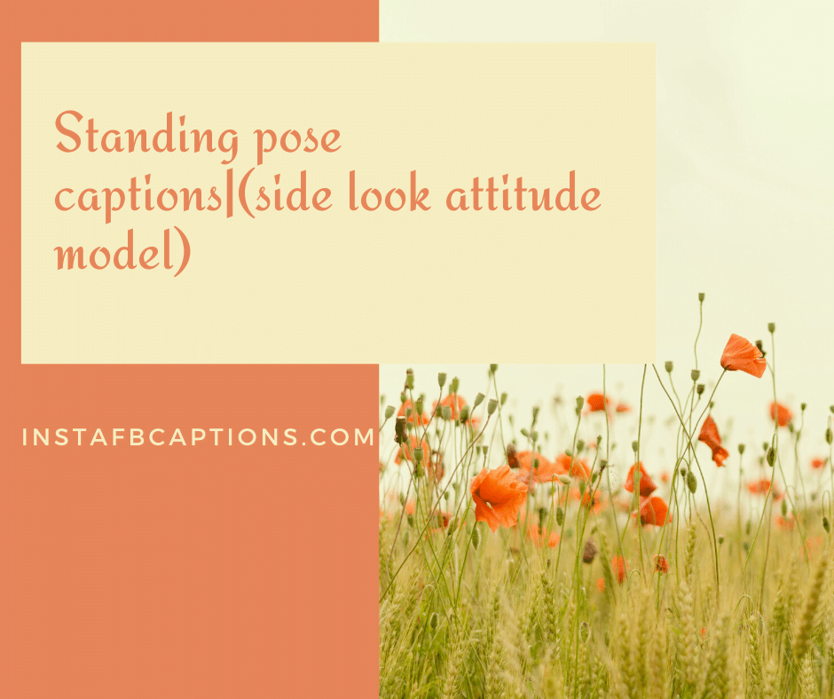 Standing pose captions(side look attitude model) InstaFbCaptions