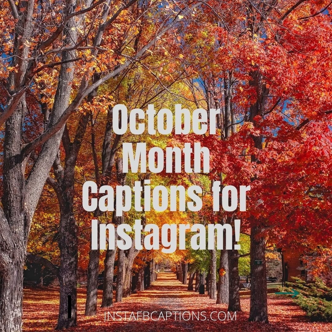 [Popular] OCTOBER FALL Captions Quotes for Instagram in 2024
