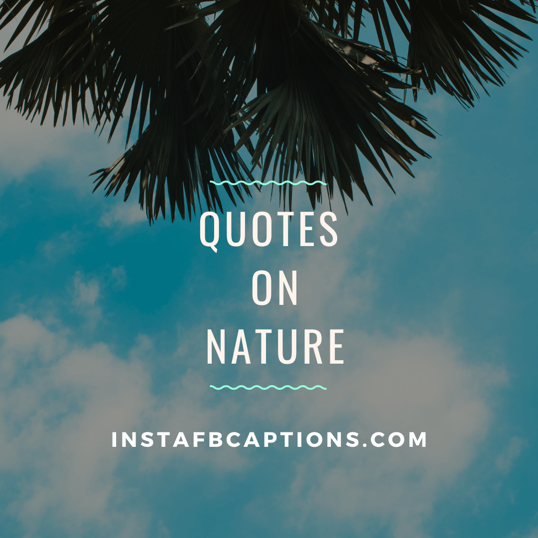 [98+] Greenery Quotes Captions for Instagram in 2024