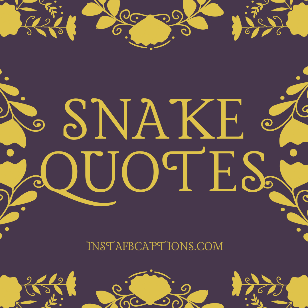 Snake Quotes for all your Fake Friends in 2022