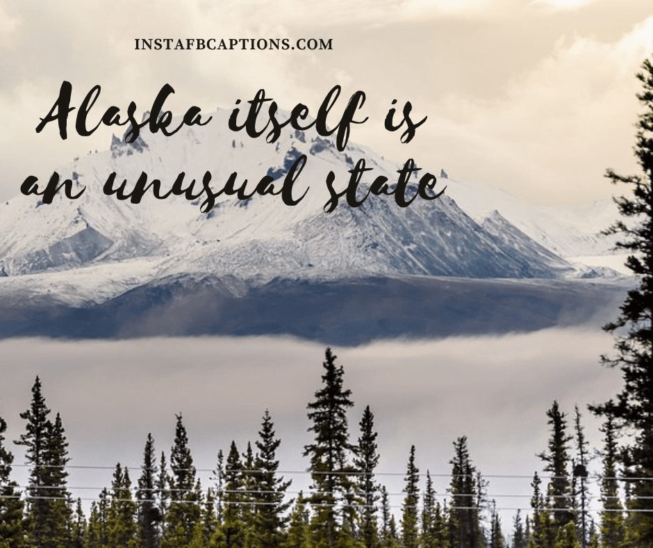 70+ Alaska Instagram Captions and Quotes in 2024 InstaFbCaptions