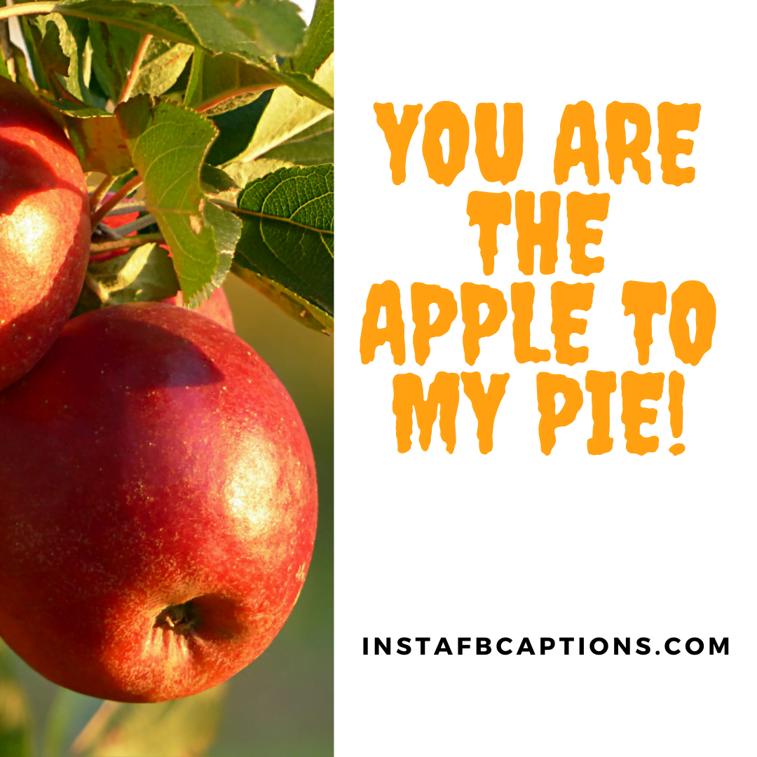APPLE Picking Instagram Captions and Quotes in 2024 InstaFbCaptions