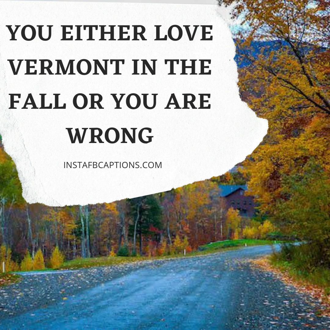 80+ VERMONT Instagram Captions, Quotes, and Hashtags in 2024