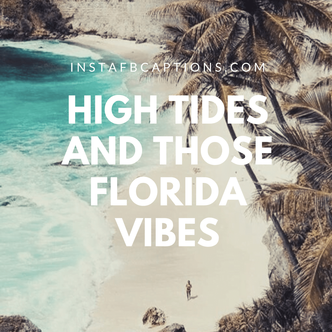 80+ Best Florida Instagram Captions & Quotes in 2024