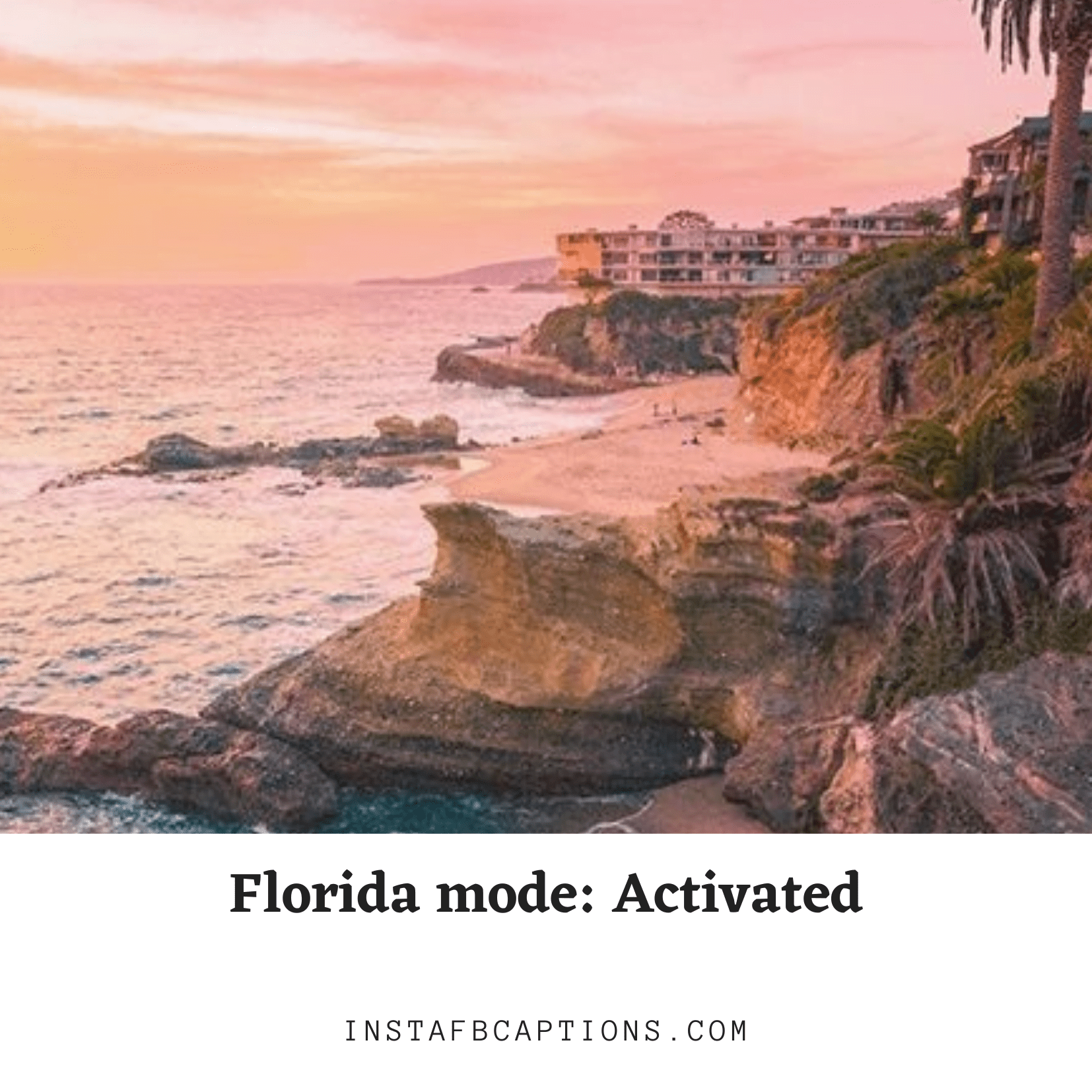 80+ Best Florida Instagram Captions & Quotes in 2024