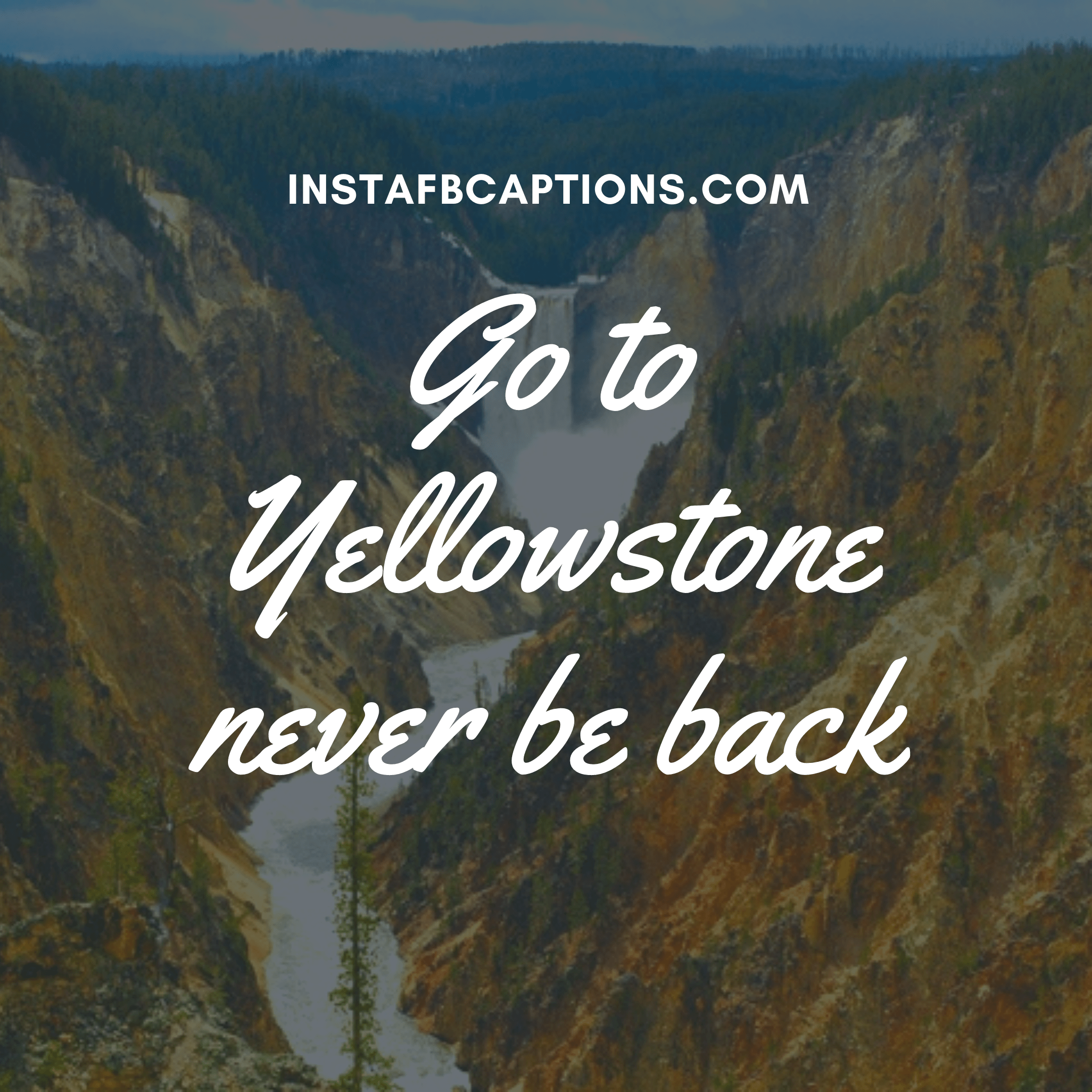 Best Yellowstone Instagram Captions in 2022