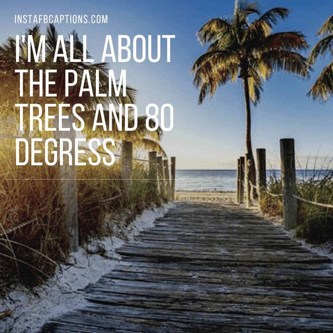 80+ Best Florida Instagram Captions & Quotes in 2024
