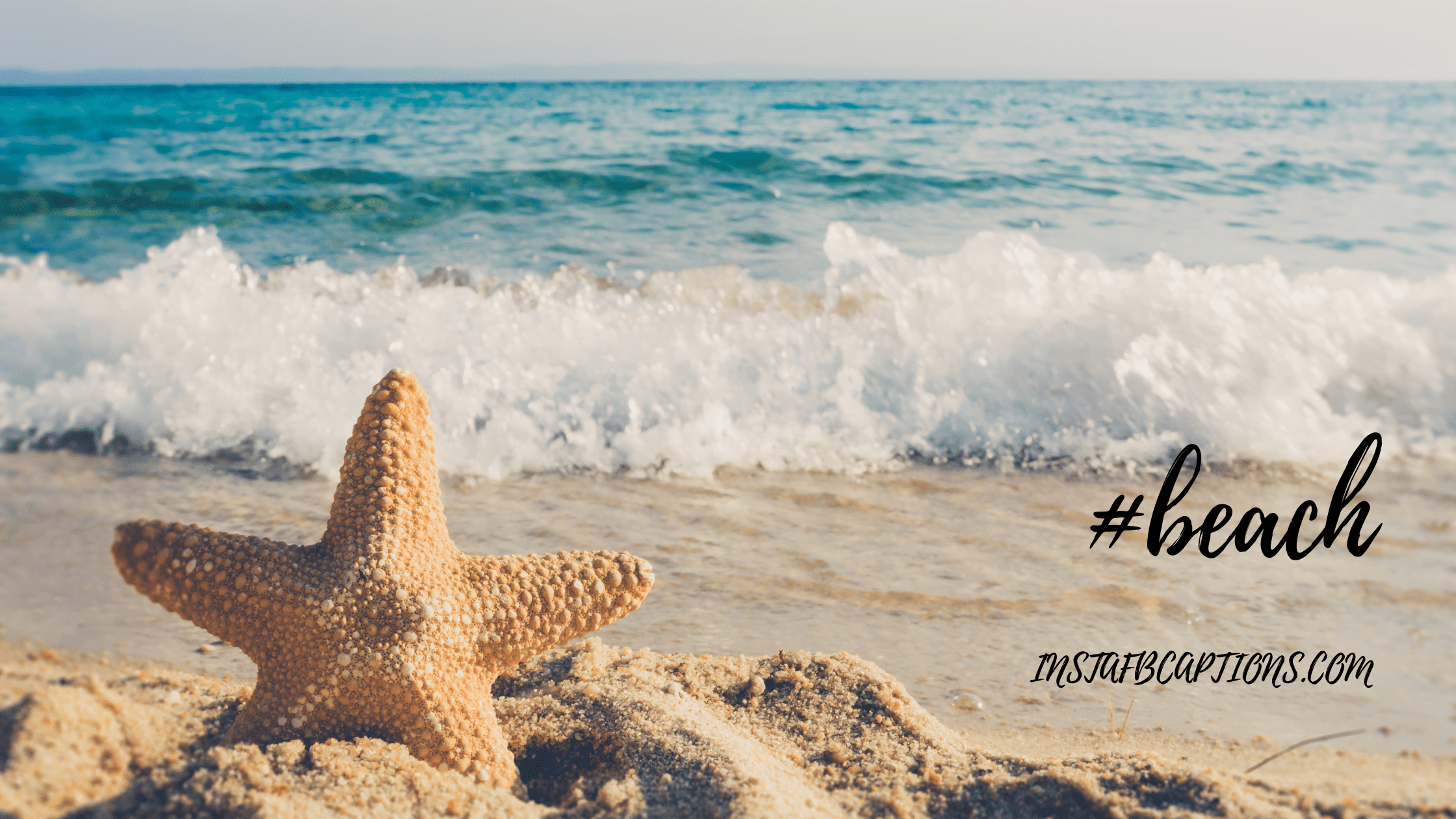 120+ BEACH Instagram Captions and Quotes in 2024