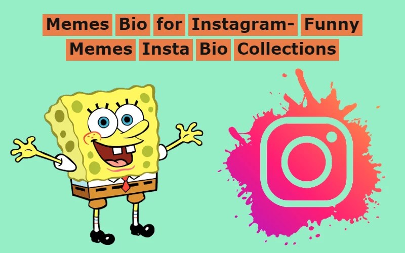 50+ Memes Bio For Instagram Funny Memes Insta Bio Collections