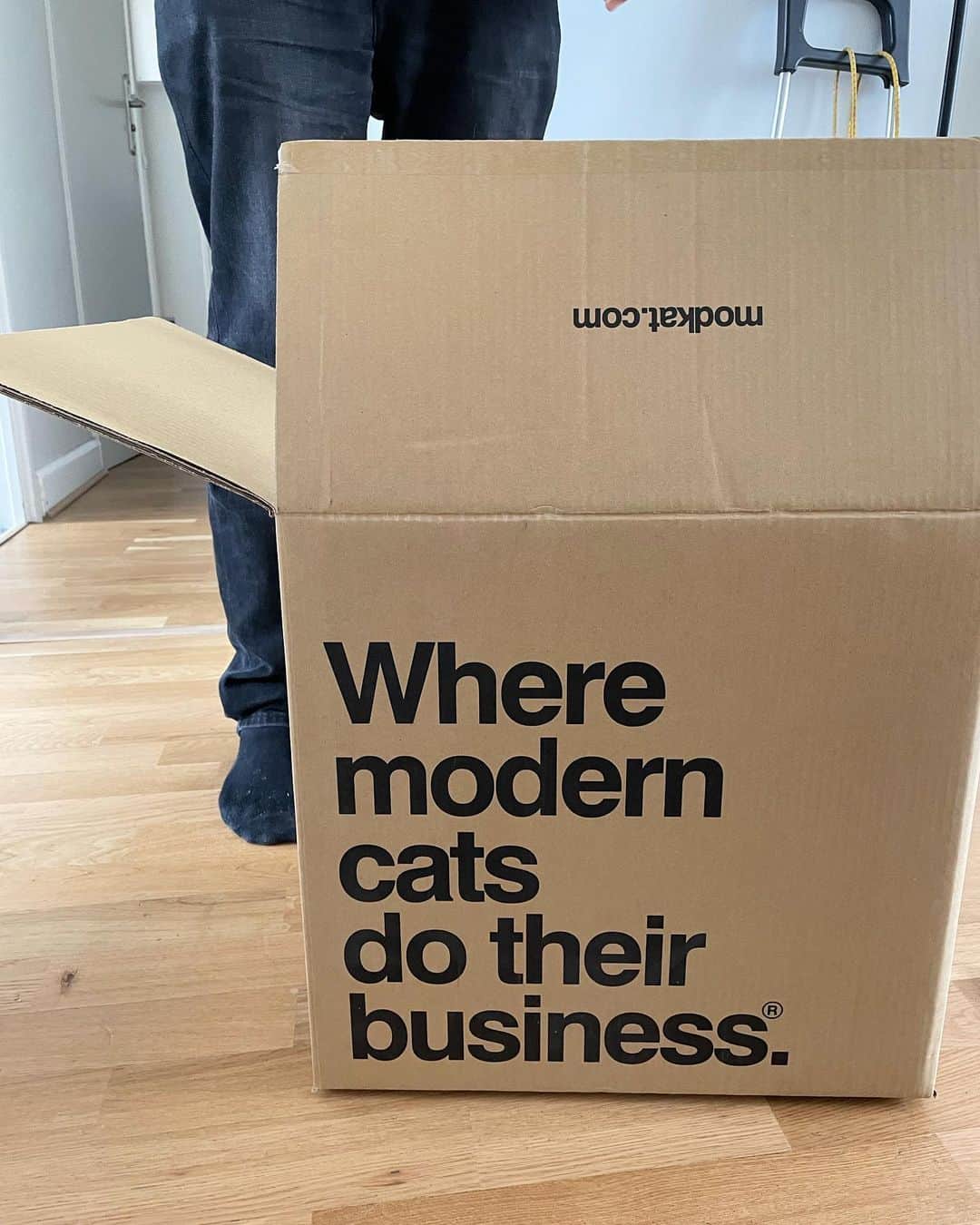 猫沢エミさんのインスタグラム写真 (猫沢エミInstagram)「我が家に modkat のキャットイレがやってきたのが先週のこと