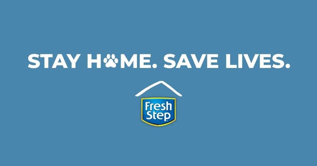 Fresh Stepさんのインスタグラム写真 (Fresh StepInstagram)「In times like these, it