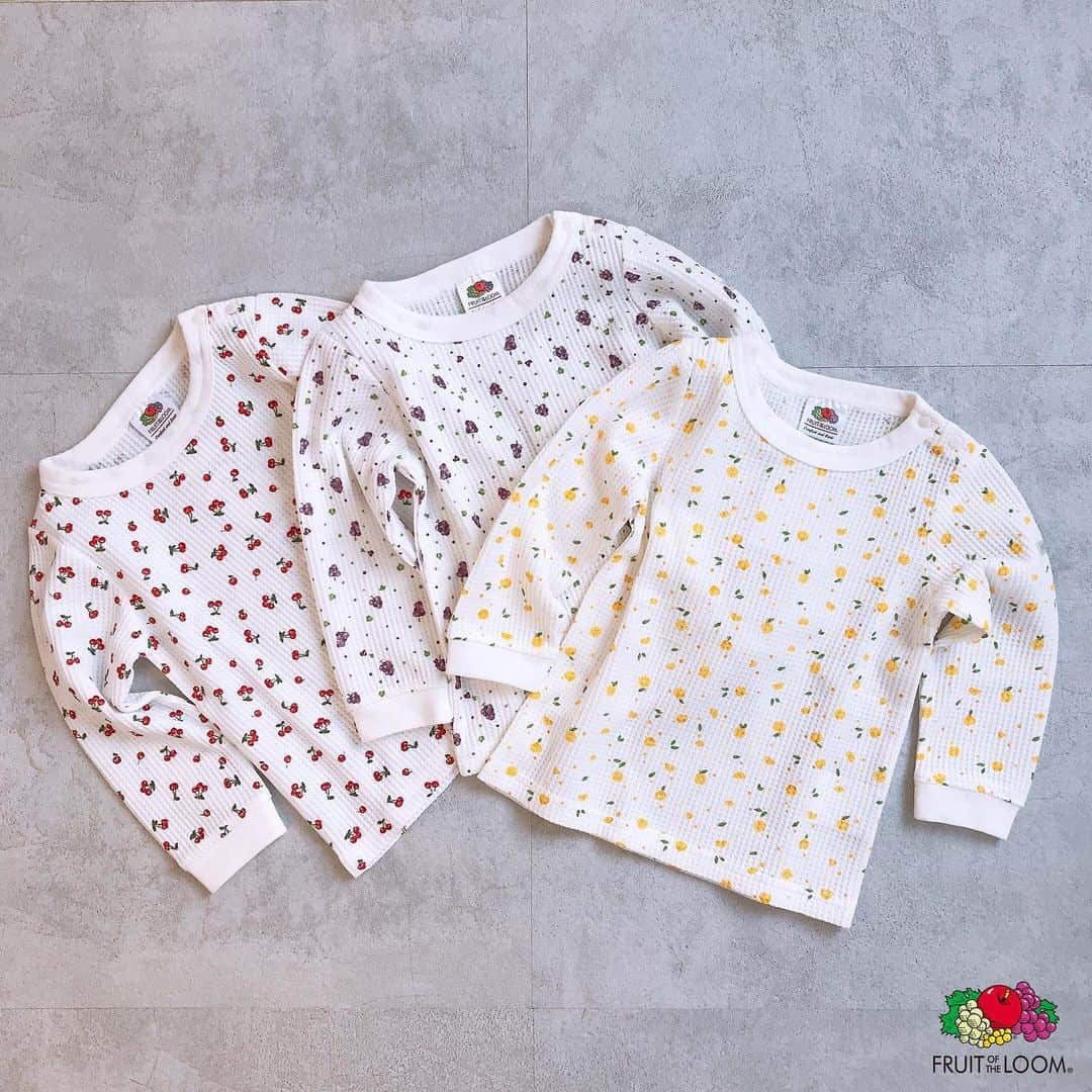 petit mainさんのインスタグラム写真 (petit mainInstagram)「.﻿ 🍎FRUIT OF THE LOOM ×