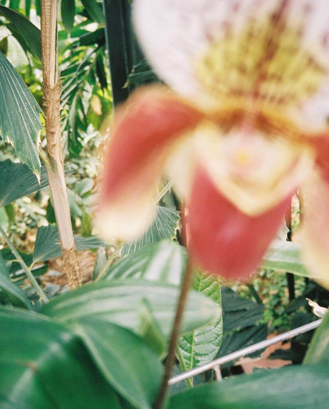 MARIHA Official Instagramさんのインスタグラム写真 (MARIHA Official