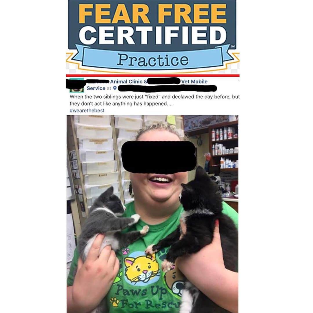 City the Kittyさんのインスタグラム写真 (City the KittyInstagram)「We recently did