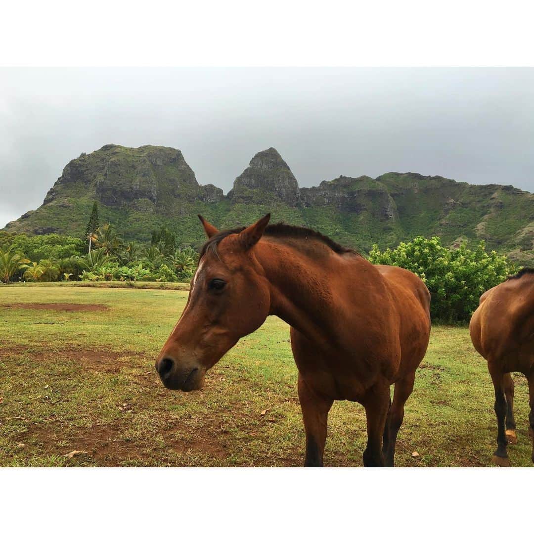 ジェラ・マリアーノさんのインスタグラム写真 (ジェラ・マリアーノInstagram)「Flashin’ back to last