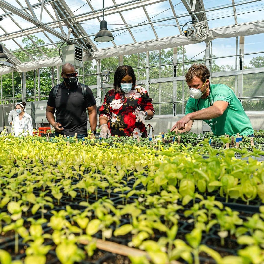 ニューヨーク植物園さんのインスタグラム写真 (ニューヨーク植物園Instagram)「Our Edible Academy’s fresh