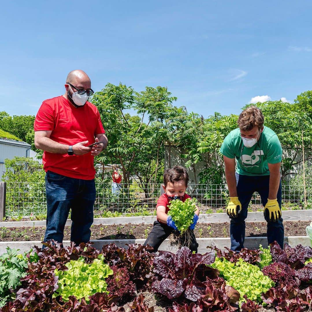 ニューヨーク植物園さんのインスタグラム写真 (ニューヨーク植物園Instagram)「Our Edible Academy’s fresh